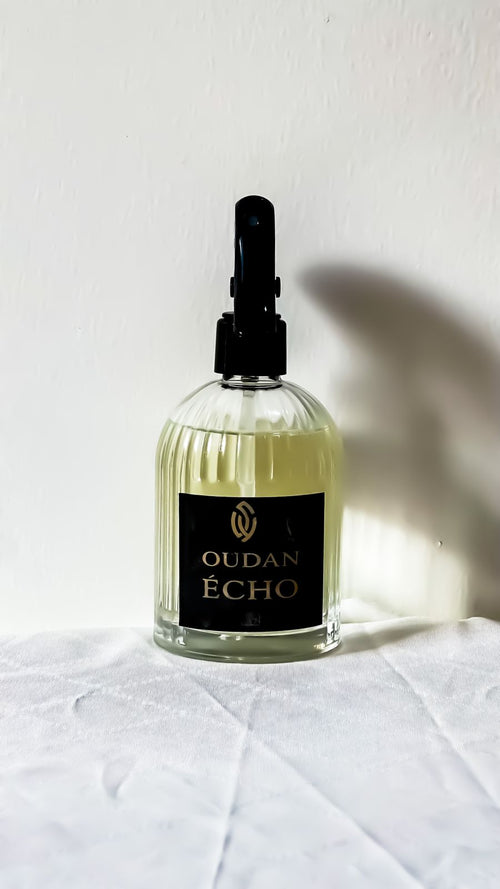 OUDAN - Écho
